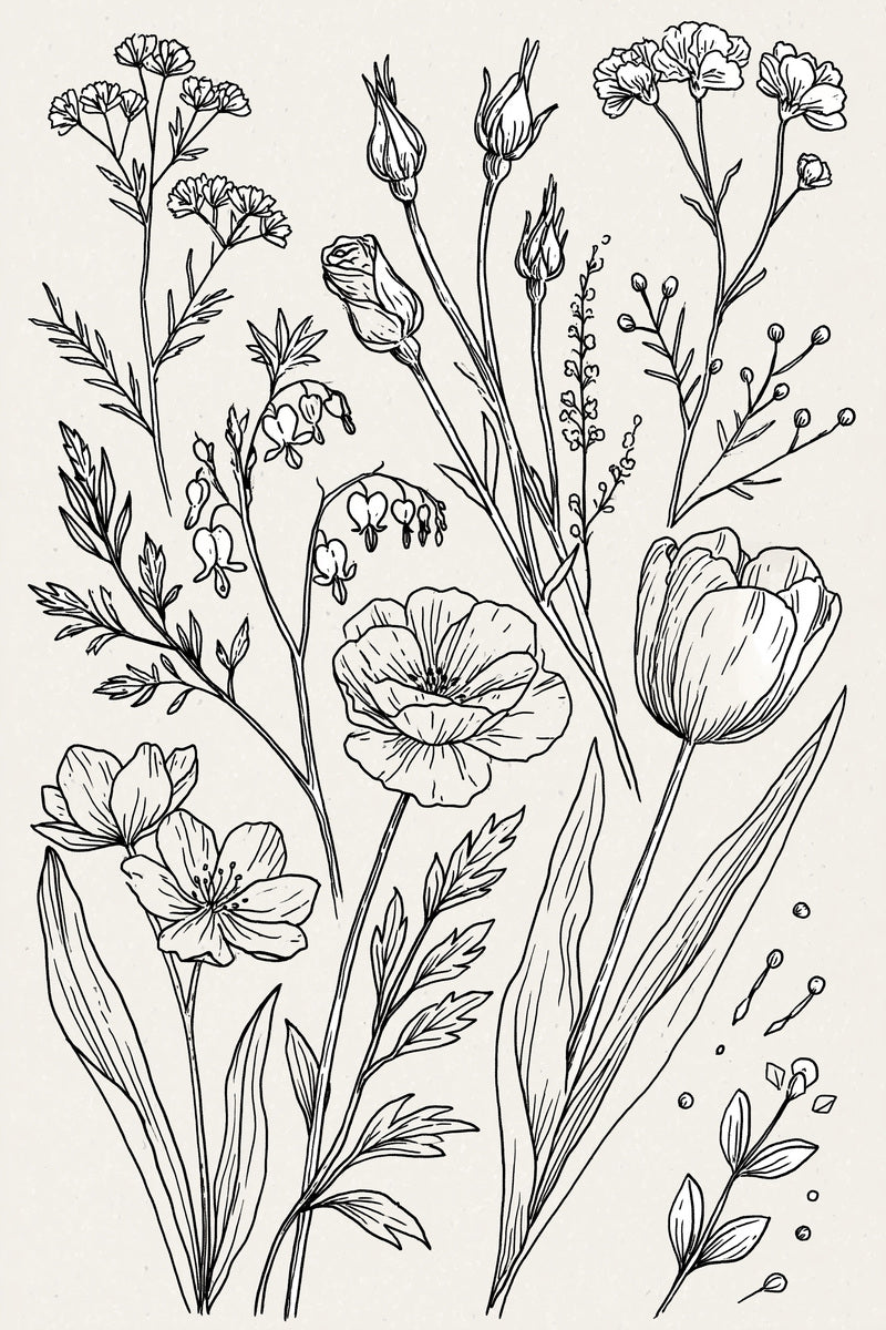 Botanical Outline Library Plate Backstitch from Backstitch & Outline Designs Book 4, a digital embroidery design reference for machine embroidery designs, embroidery patterns and botanical and floral embroidery.