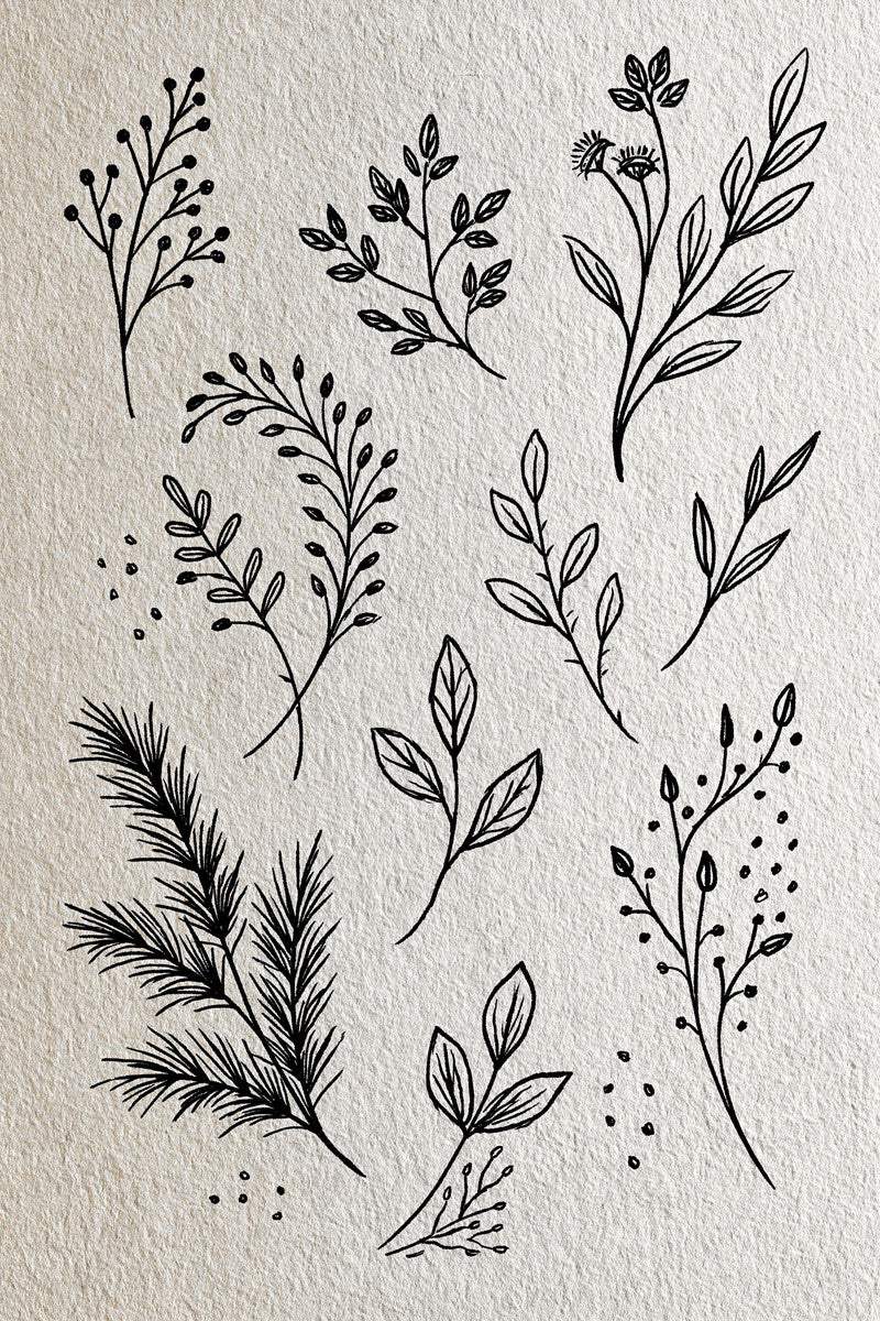 Original design: an airy botanical sampler of separate seed stems, small leafy twigs, open-leaf branches and a fine needle-leaf sprig at lower left.