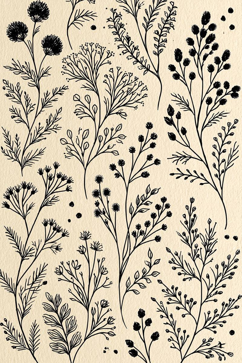 Original design: a cropped full-page arrangement of delicate thistle-like flower heads, branching seed stems, tiny buds and separate herb sprigs.