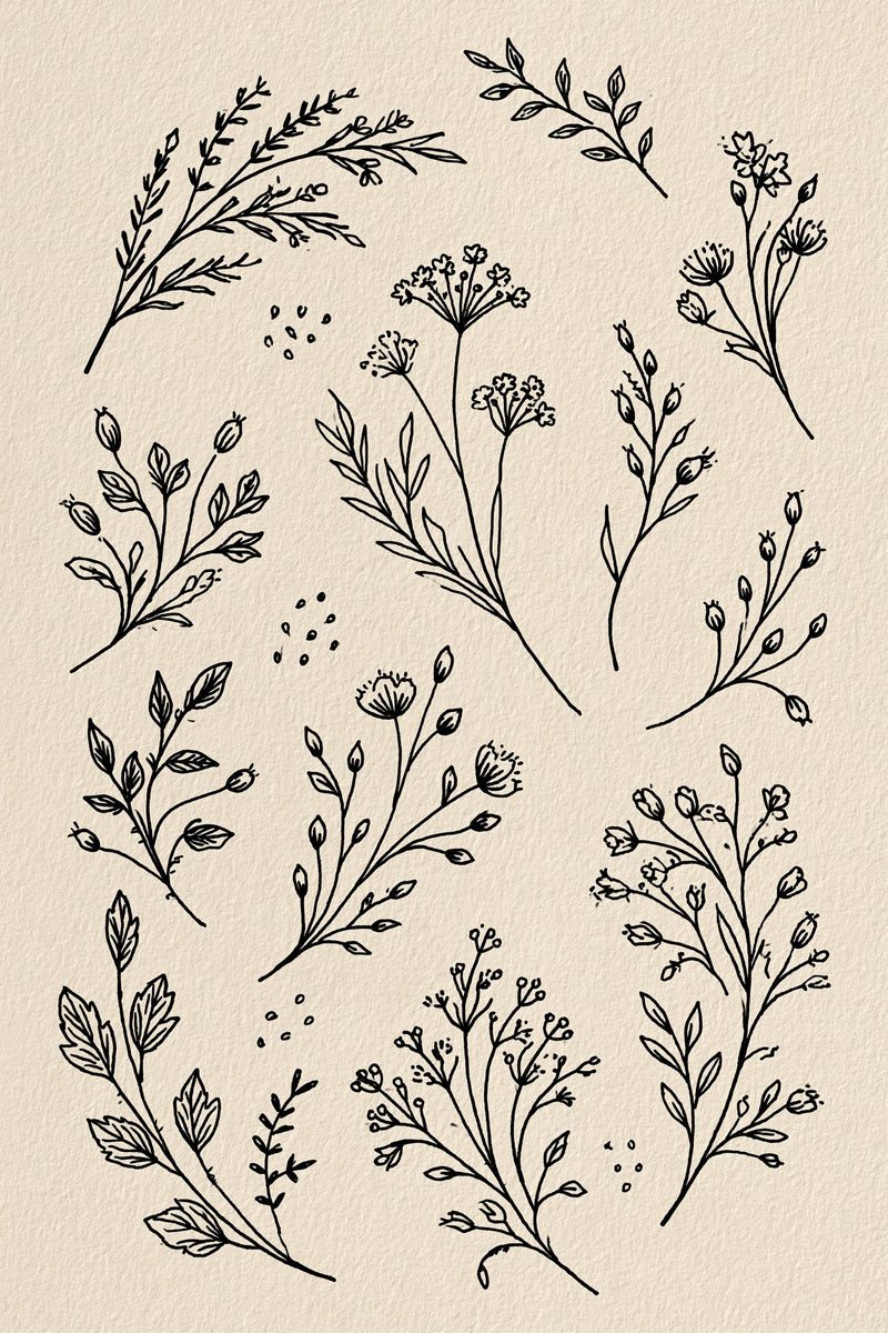 Original design: an airy sampler of separate curved herb branches, small umbrella flowers, tiny buds, open leaves and little seed sprigs.