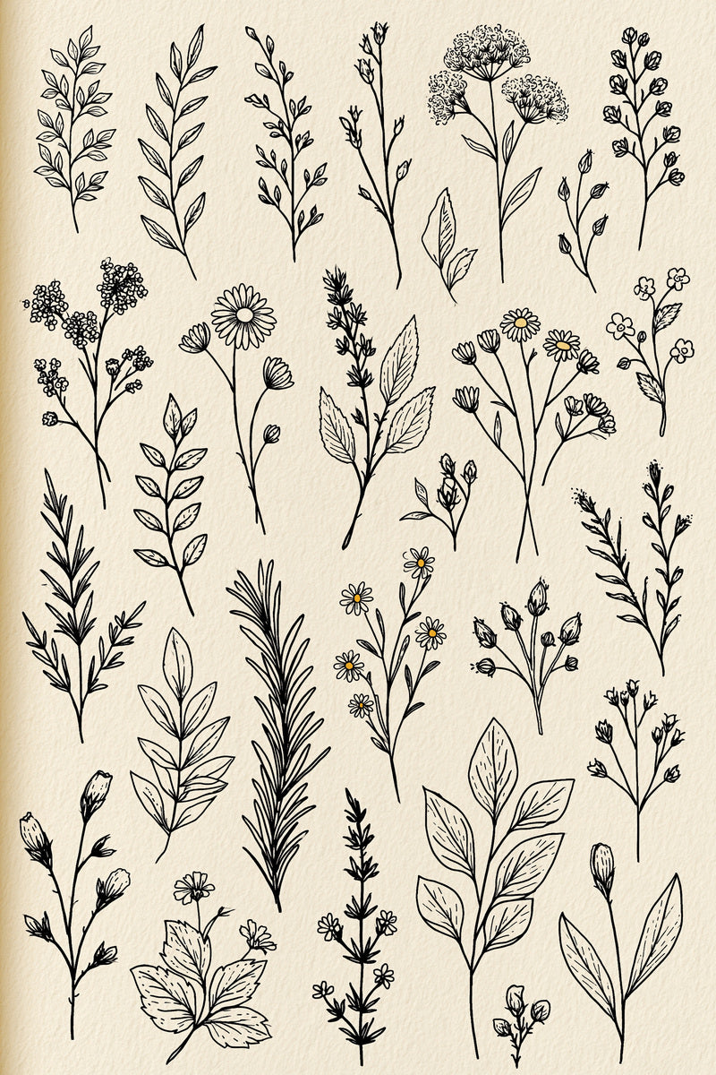 Botanical Sprig Embroidery Pattern Book 02 from Botanical Sprig Library Book 3, a digital embroidery design reference for machine embroidery designs, embroidery patterns and small motif and accent designs.