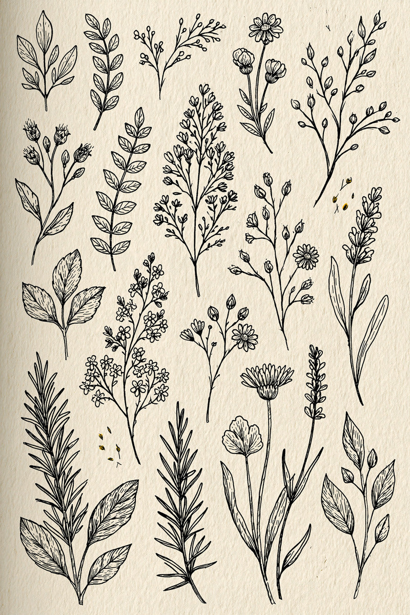 Botanical Sprig Embroidery Pattern Book 02 from Botanical Sprig Library Book 8, a digital embroidery design reference for machine embroidery designs, embroidery patterns and small motif and accent designs.