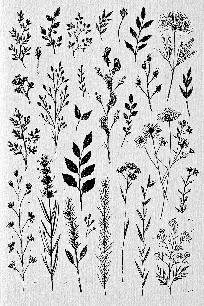 Botanical Sprig Embroidery Pattern Book 03 from Botanical Sprig Library Book 6, a digital embroidery design reference for machine embroidery designs, embroidery patterns and small motif and accent designs.