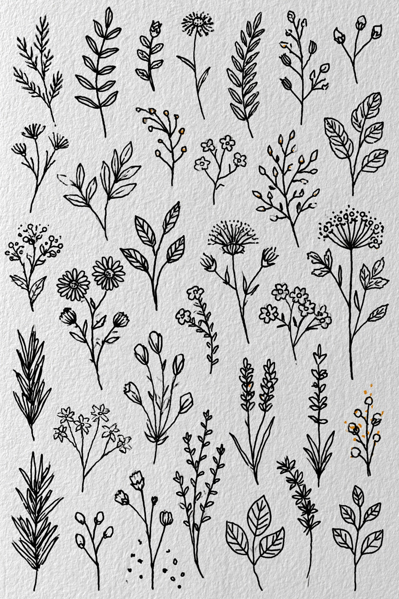 Botanical Sprig Embroidery Pattern Book 04 from Botanical Sprig Library Book 7, a digital embroidery design reference for machine embroidery designs, embroidery patterns and small motif and accent designs.