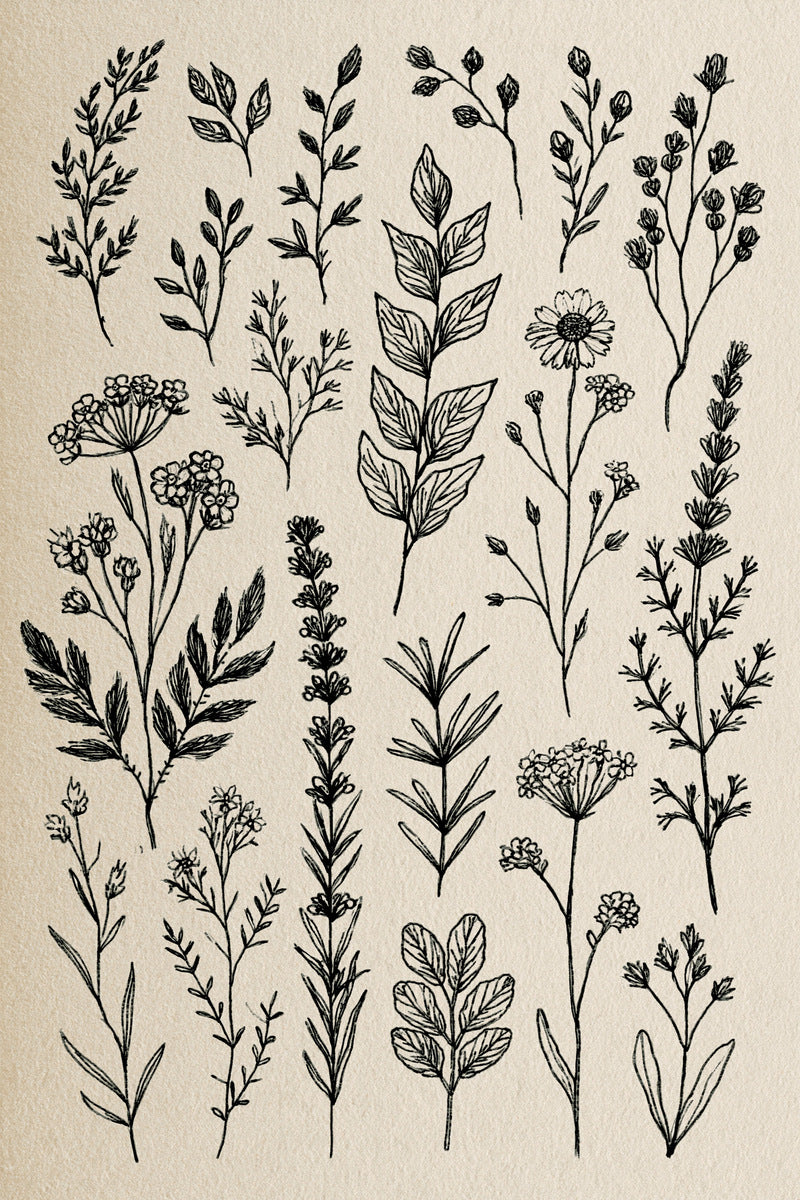 Botanical Sprig Embroidery Pattern from Botanical Sprig Library Book 3, a digital embroidery design reference for machine embroidery designs, embroidery patterns and small motif and accent designs.