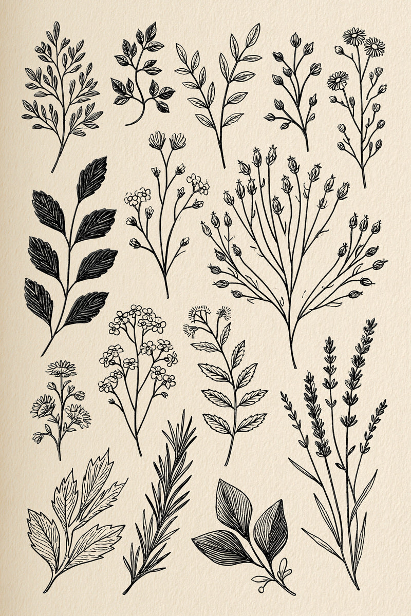 Botanical Sprig Embroidery Pattern Book from Botanical Sprig Library Book 6, a digital embroidery design reference for machine embroidery designs, embroidery patterns and small motif and accent designs.