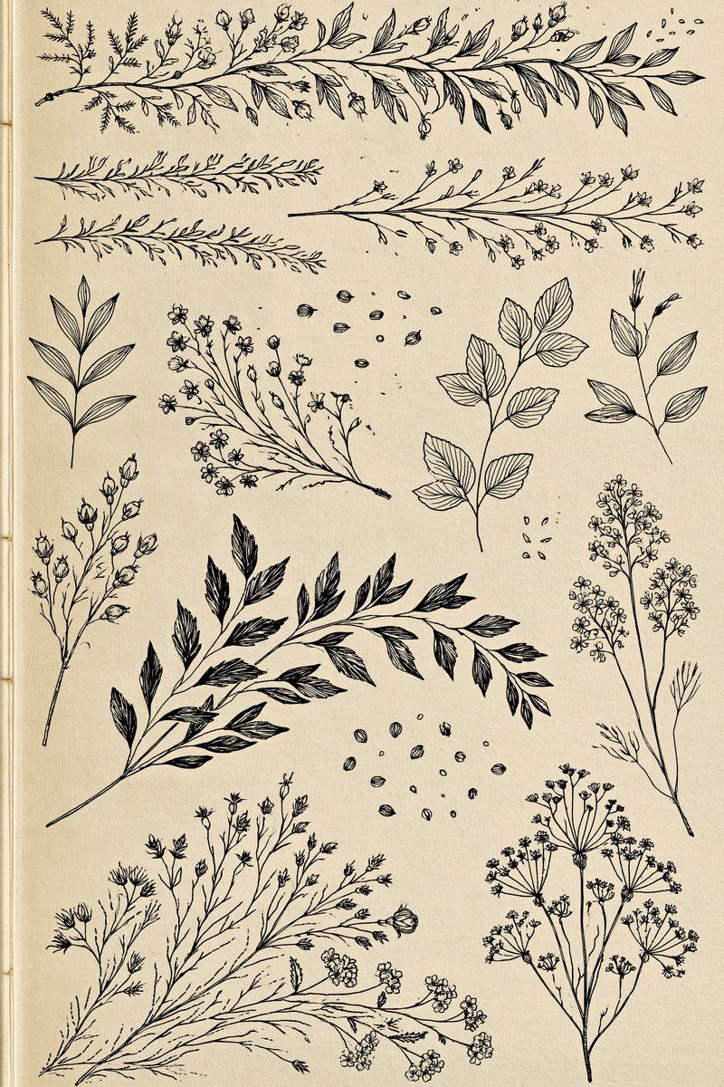 Original design: a specimen sampler with horizontal leafy and flower borders at the top, separate little botanical branches, a large dark curved leaf spray and lower flower and umbel sprigs.