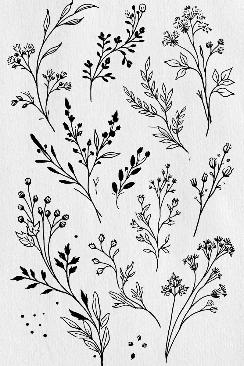 Original design: an airy sampler of separate slender botanical sprigs with open leaves, small buds, seed heads and charcoal silhouettes.