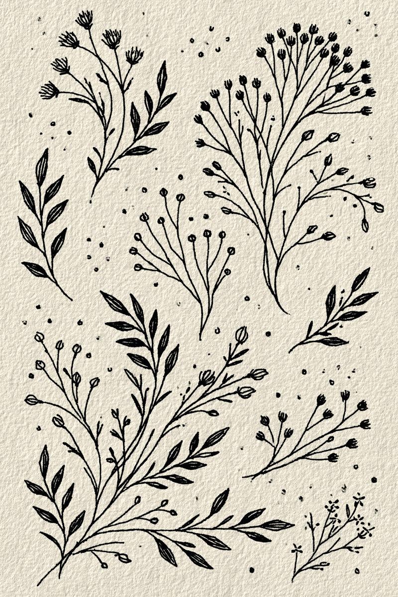 Original design: a full-page botanical composition with a large sweeping lower leafy branch and separate fine seed heads, small flower stems and scattered original dots.
