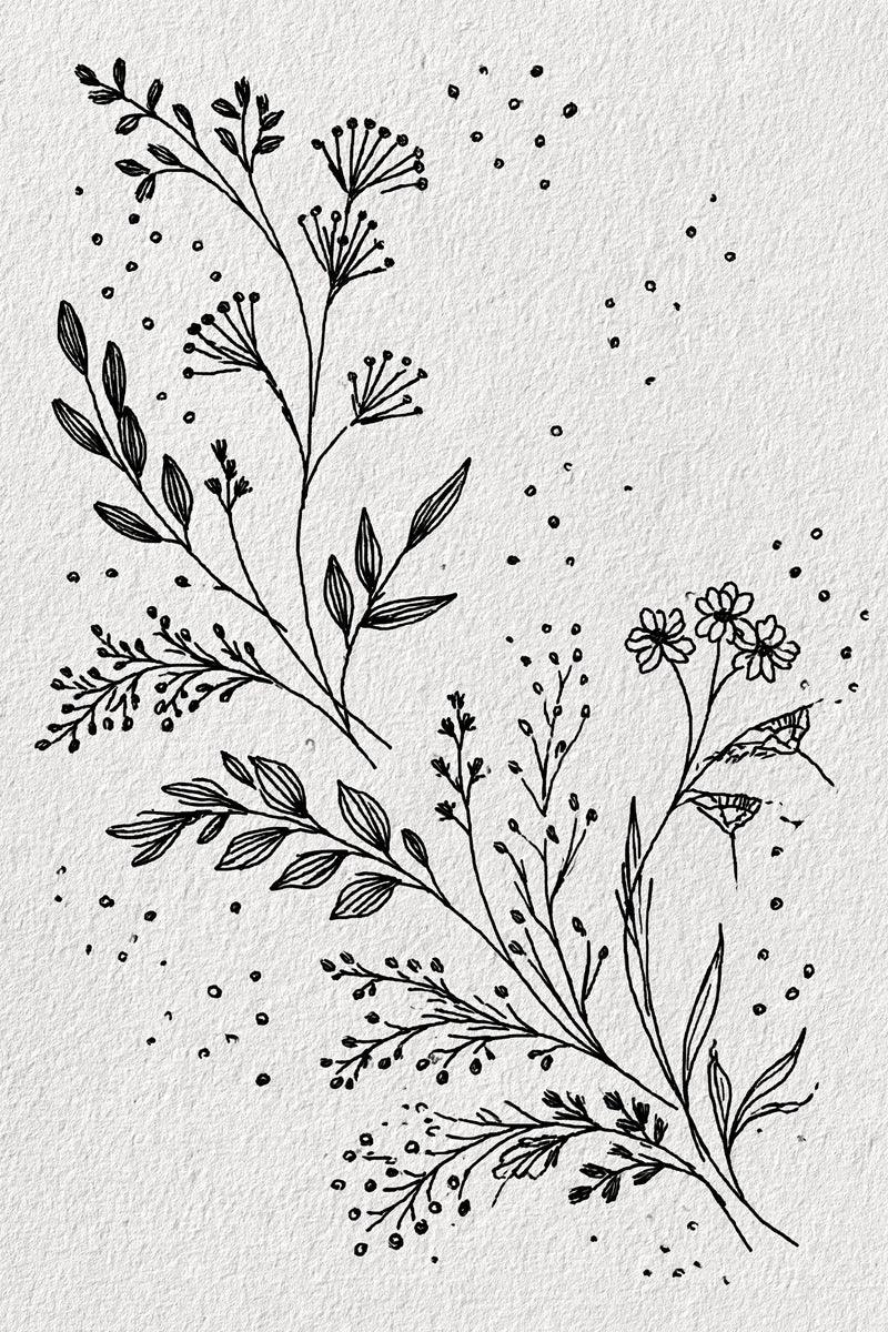 Original design: two diagonal airy botanical branches, one at upper left with umbrella seed heads and leaves and one at lower right with little flowers and fine buds.