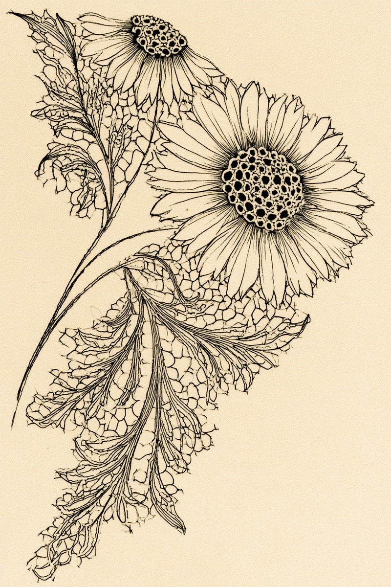 Broderie Lace Botanical Corner from Botanical Embroidery Designs Book 4, a digital embroidery design reference for machine embroidery designs, embroidery patterns and corner embroidery.