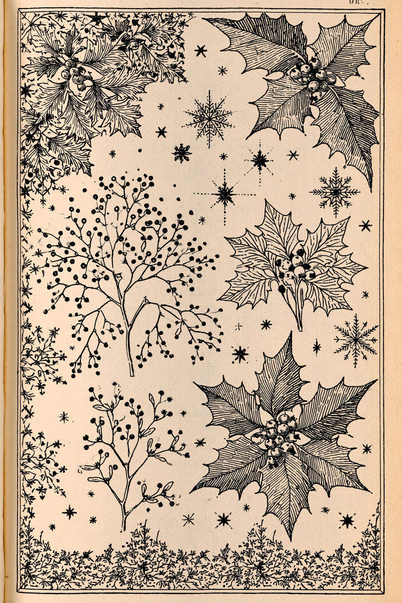 Original holly berry snowflake study design plate from Christmas Embroidery Collection Edition 1, a digital PDF embroidery design book.