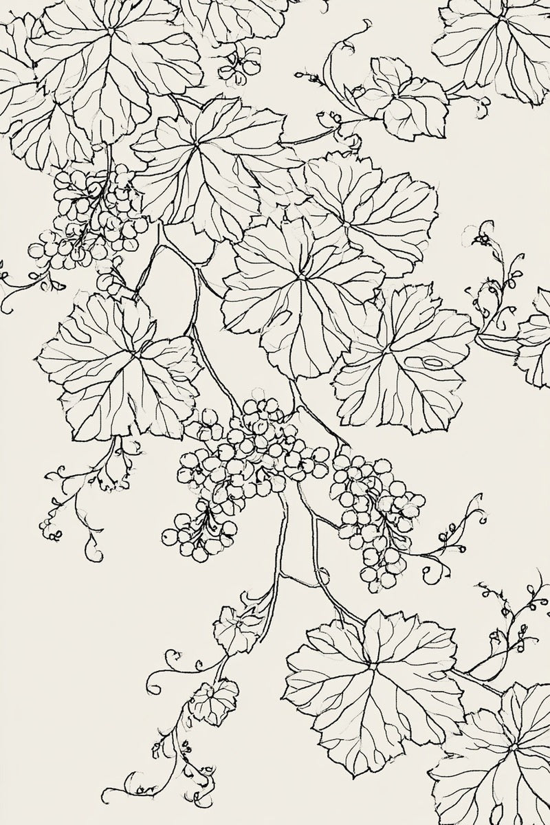 Original line drawing of hanging grapevine and large lobed leaves from Church Embroidery and Sacred Ornament Book Two.
