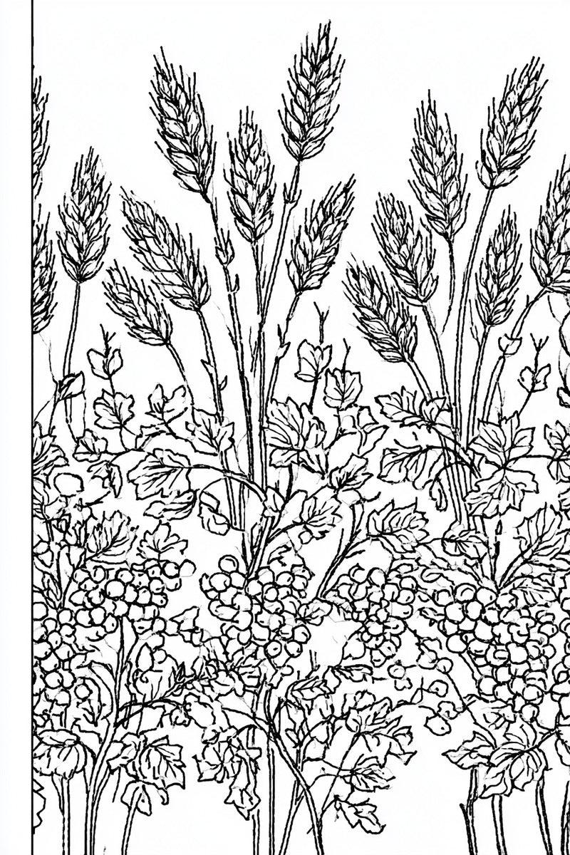 Original line drawing of wheat and grapevine panel from Church Embroidery and Sacred Ornament Book Two.