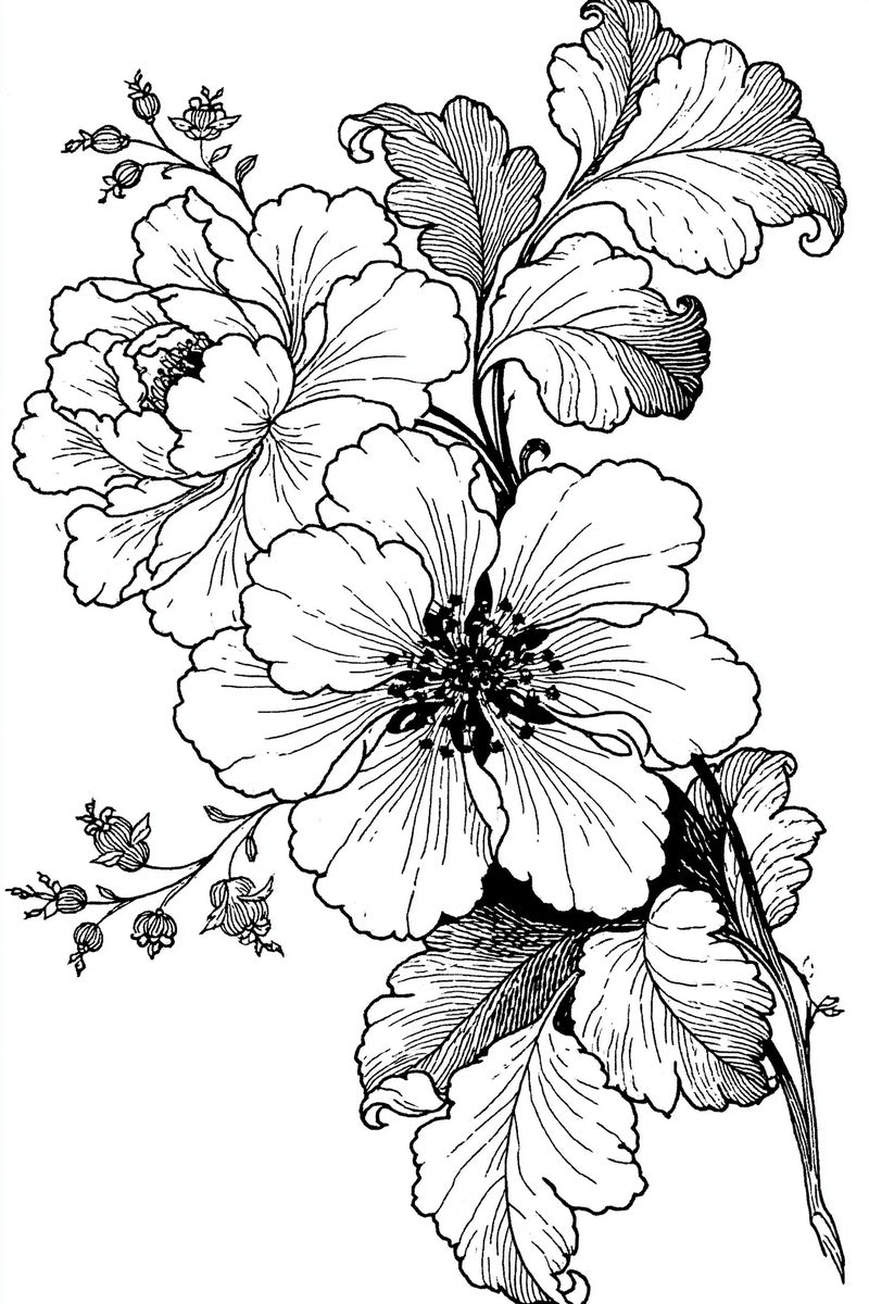 Renaissance Hand Embroidery Book 19 Product Book 4 digital PDF embroidery design book - product image 10