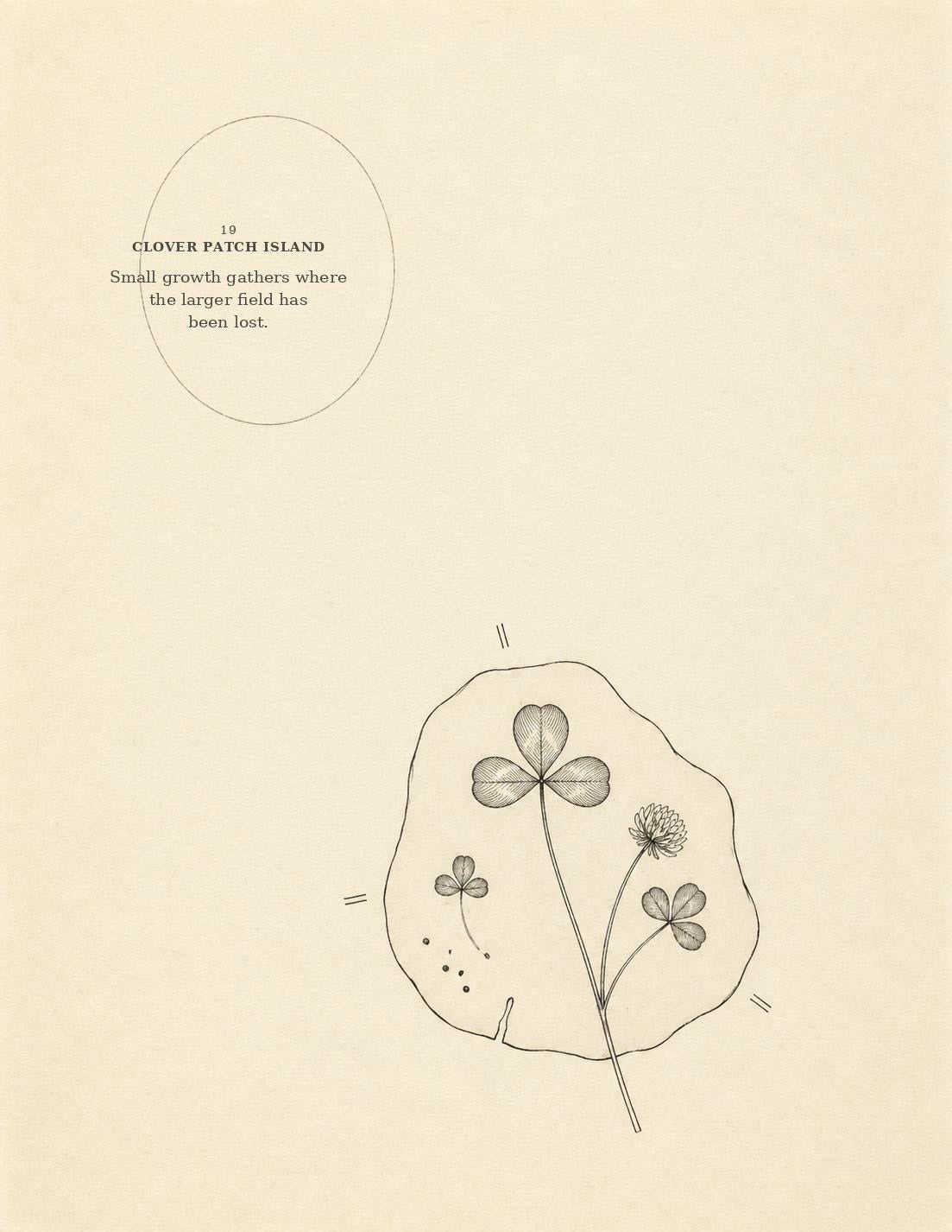 Clover Patch Island botanical drawing with clover sprig and outlined patch