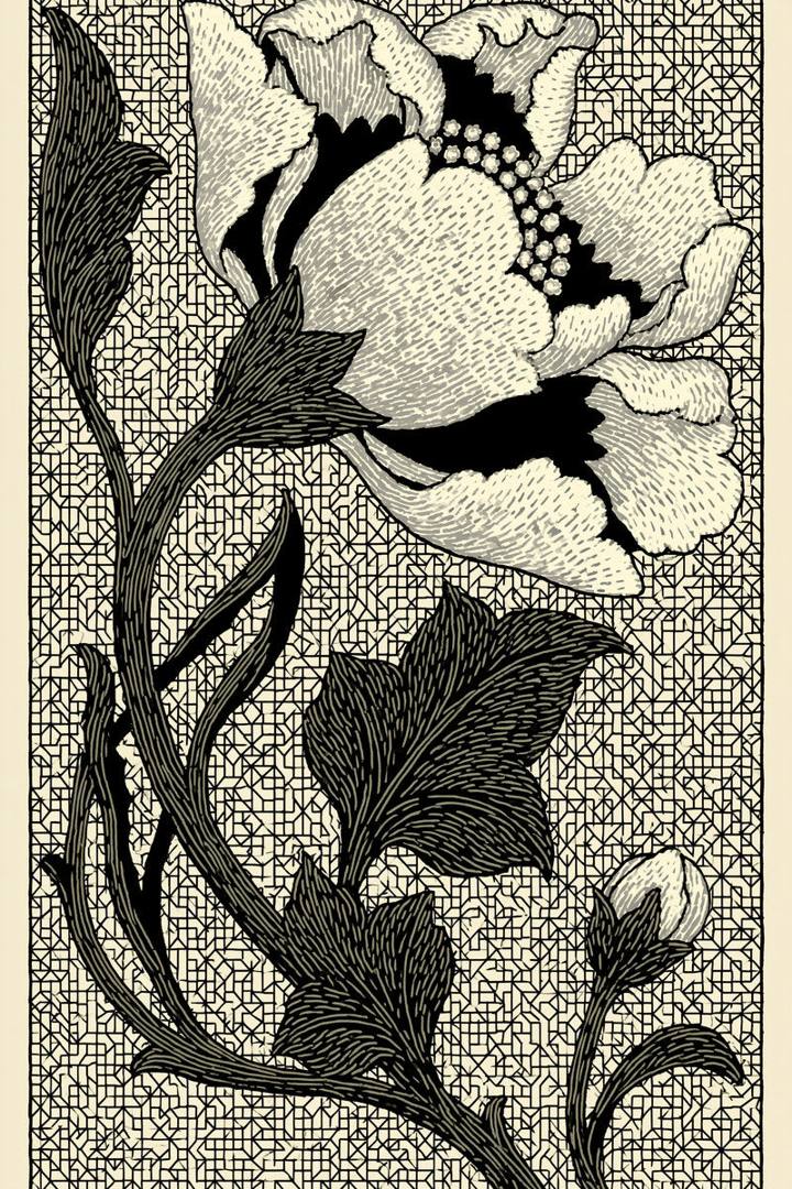 Original drawing of large ivory poppy on maze lattice panel, from Colbert Embroidery Studies Book 2.