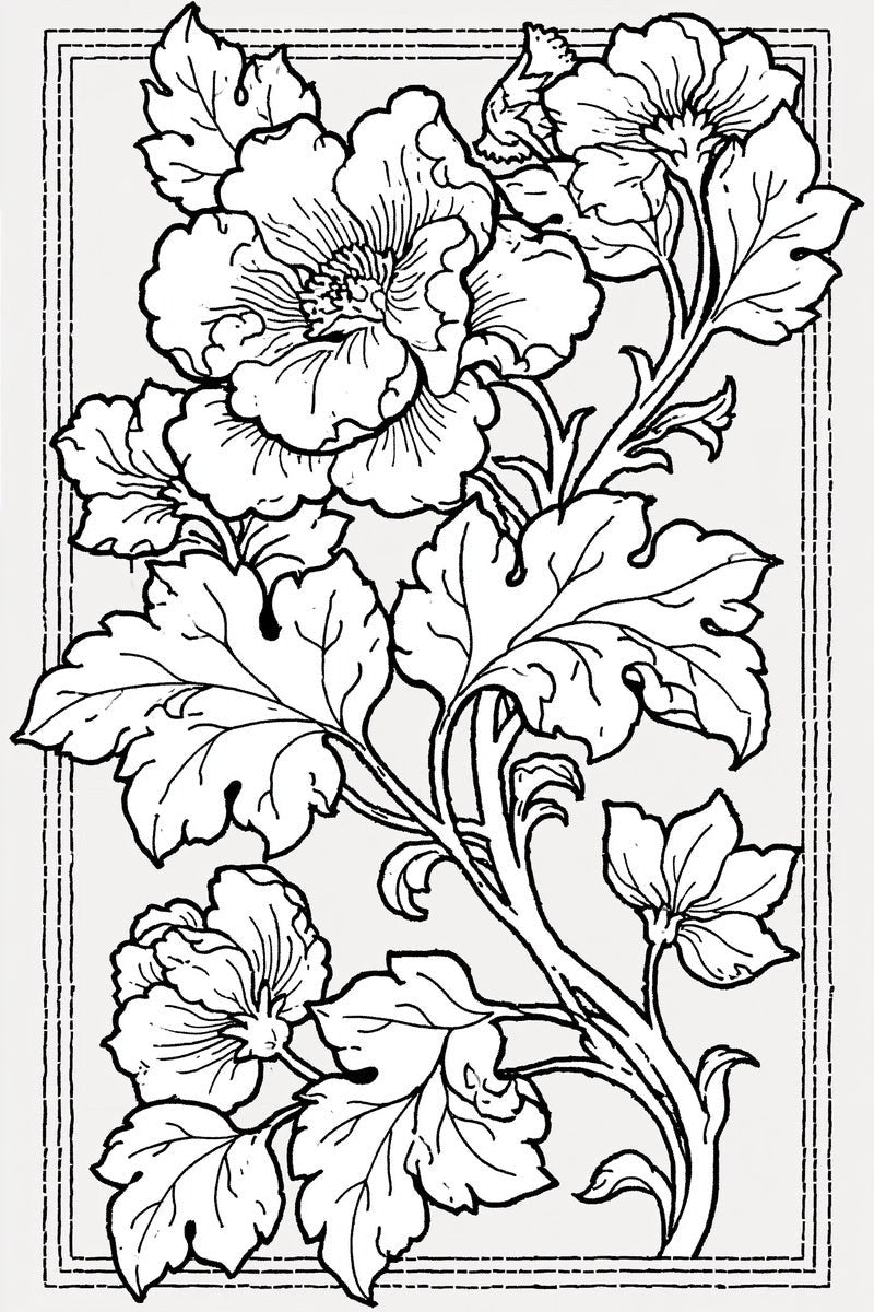 Original drawing of three open poppies and serrated leaves, from Colbert Embroidery Studies Book 2.