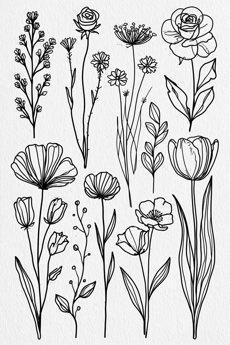 Continuous Line Botanical Library Plate from Line Art Embroidery Book 1, a digital embroidery design reference for machine embroidery designs, embroidery patterns and botanical and floral embroidery.