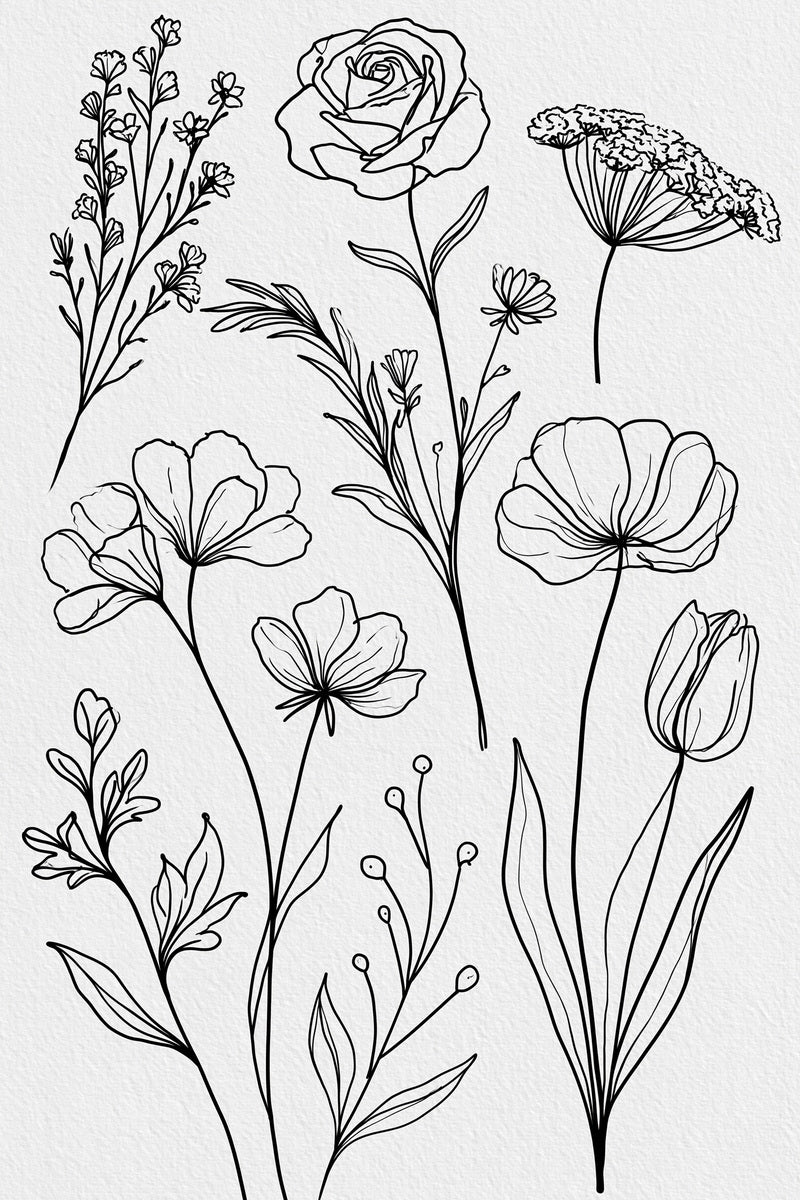 Continuous Line Botanical Library Plate from Line Art Embroidery Book 3, a digital embroidery design reference for machine embroidery designs, embroidery patterns and botanical and floral embroidery.