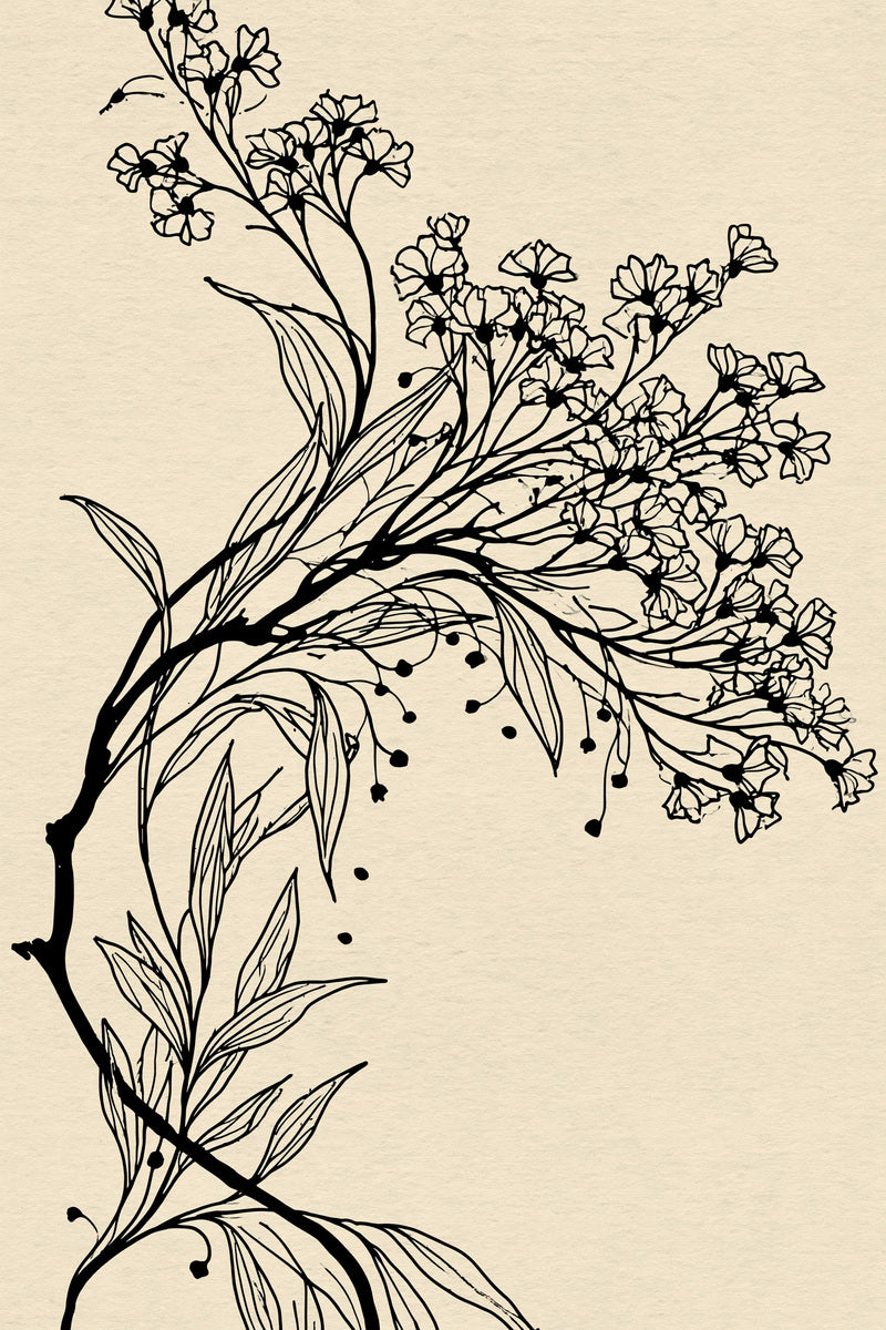 Curved Floral Branch Motif Art from Art Nouveau Botanical Embroidery Book 3, a digital embroidery design reference for machine embroidery designs, embroidery patterns and botanical and floral embroidery.