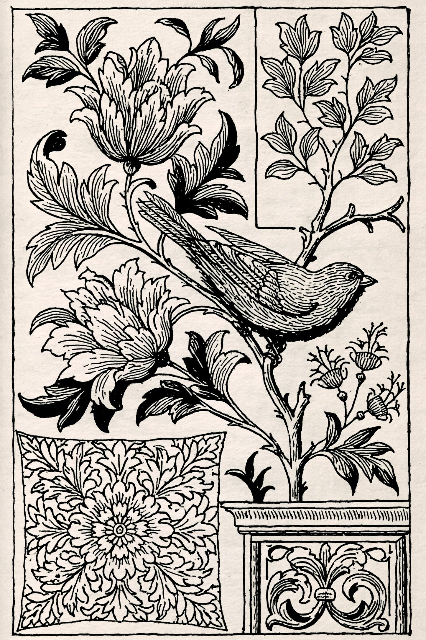 Digital PDF embroidery design bundle cover preview for Botanical Garden Archive Bundle 1, featuring curated embroidery patterns, motif library references and textile design… - preview 26