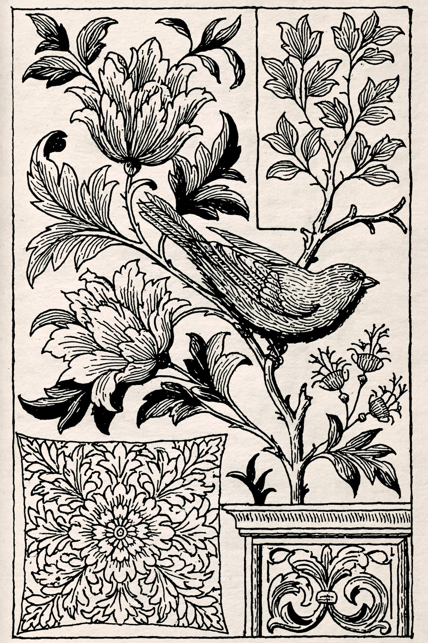 Digital PDF embroidery design bundle cover preview for Botanical Garden Archive Bundle 1, featuring curated embroidery patterns, motif library references and textile design… - preview 26