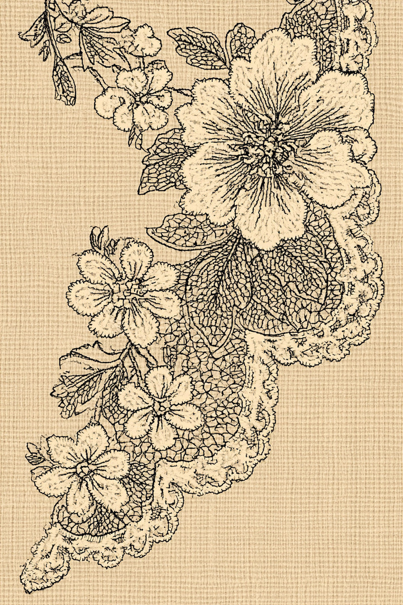 Delicate Lace Corner Accent from Lace Embroidery & Broderie Designs Book 4, a digital embroidery design reference for machine embroidery designs, embroidery patterns and corner embroidery.