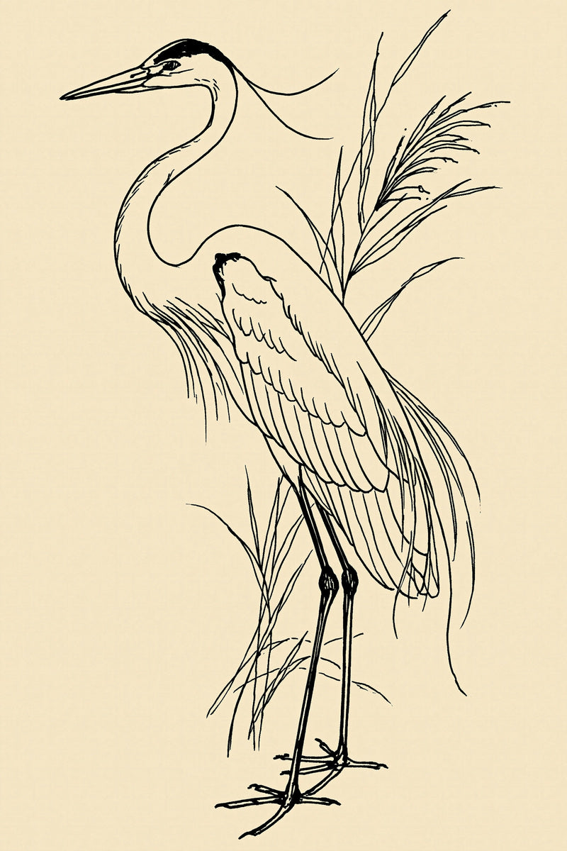Elegant Crane Motif Birds Embroidery from Birds Embroidery Book 3, a digital embroidery design reference for machine embroidery designs, embroidery patterns and embroidery design reference.
