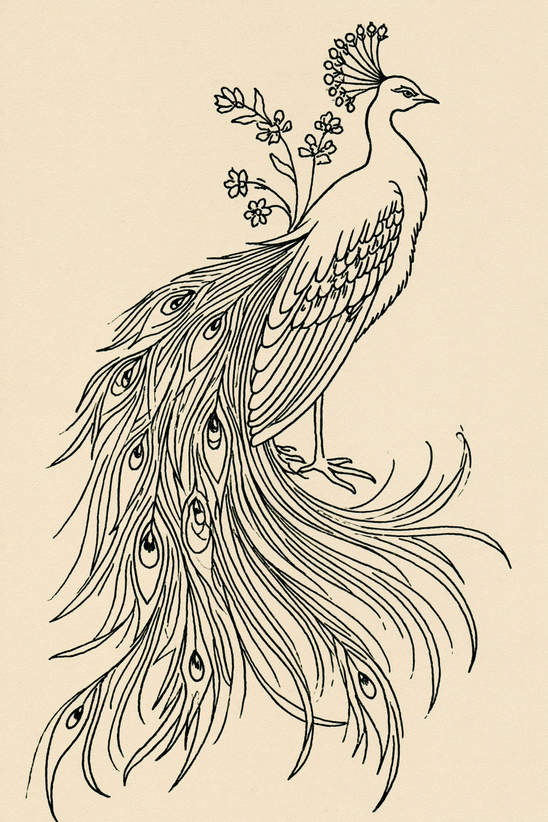 Elegant Peacock Motif Birds Embroidery from Birds Embroidery Book 3, a digital embroidery design reference for machine embroidery designs, embroidery patterns and embroidery design reference.