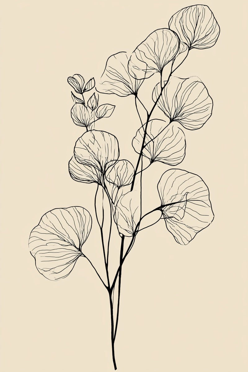Original book drawing of an eucalyptus sprig with round leaves.