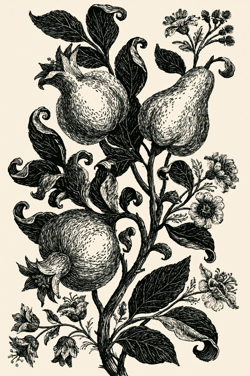 Exotic Fruit And Leaf Motif 02 from Jacobean & Crewel Embroidery Book 1, a digital embroidery design reference for machine embroidery designs, embroidery patterns and botanical and floral embroidery.