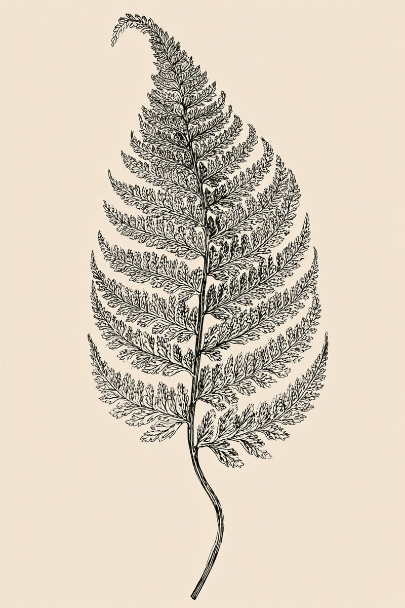 Fern Leaf Study from Botanical Embroidery Designs Book 4, a digital embroidery design reference for machine embroidery designs, embroidery patterns and botanical and floral embroidery.