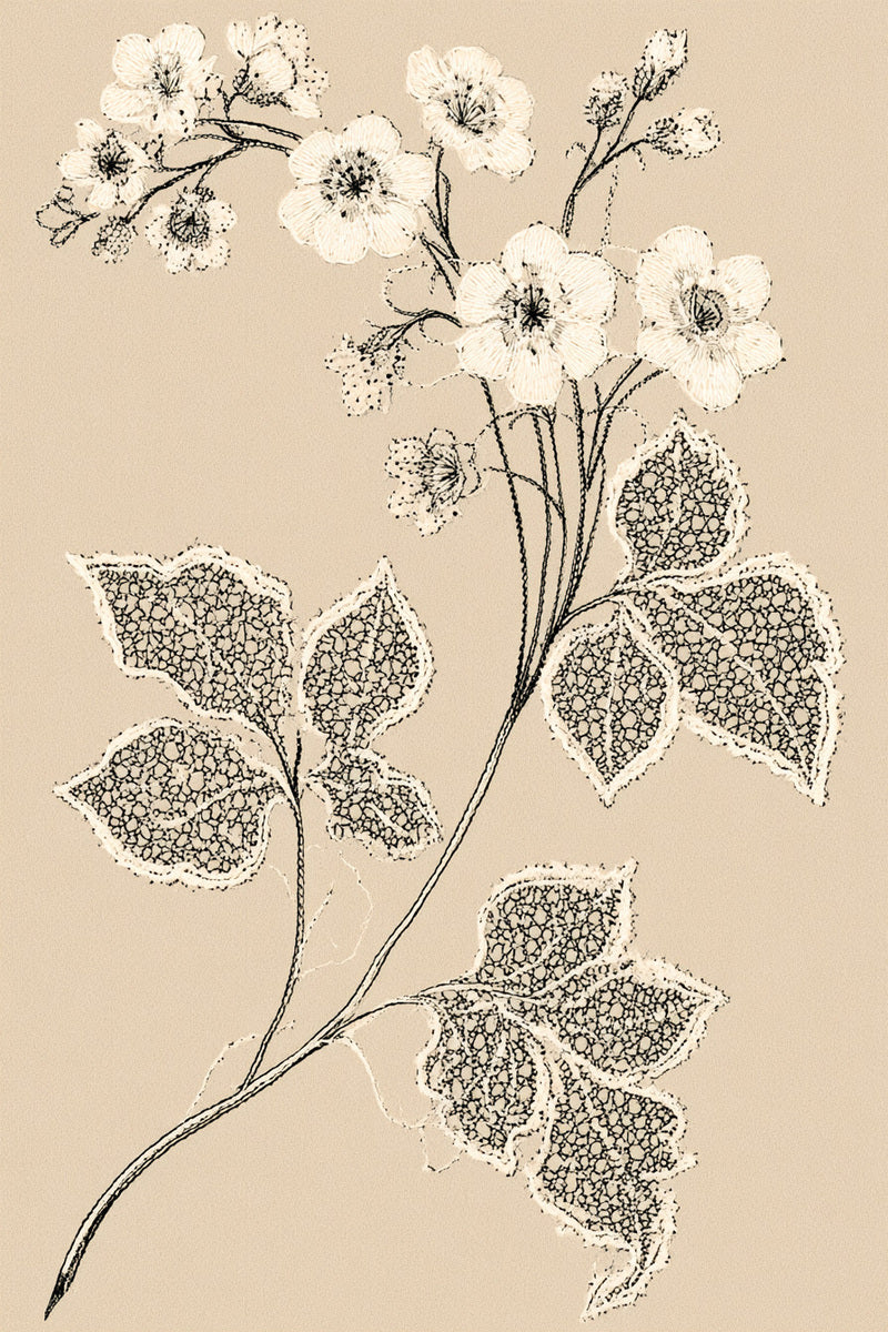 Floral Openwork Sprig from Lace Embroidery & Broderie Designs Book 1, a digital embroidery design reference for machine embroidery designs, embroidery patterns and lace and broderie details.