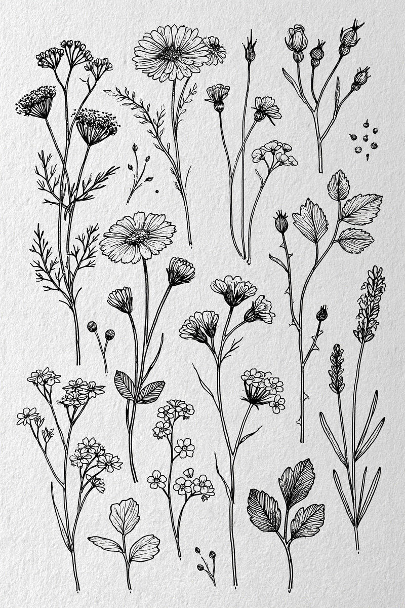 Floral Sprig Library Plate Botanical from Botanical Sprig Library Book 10, a digital embroidery design reference for machine embroidery designs, embroidery patterns and small motif and accent designs.