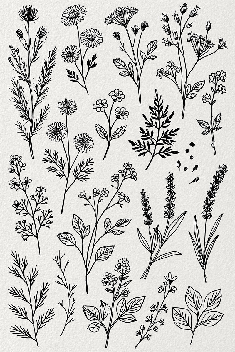 Floral Sprig Library Plate Botanical from Botanical Sprig Library Book 4, a digital embroidery design reference for machine embroidery designs, embroidery patterns and small motif and accent designs.