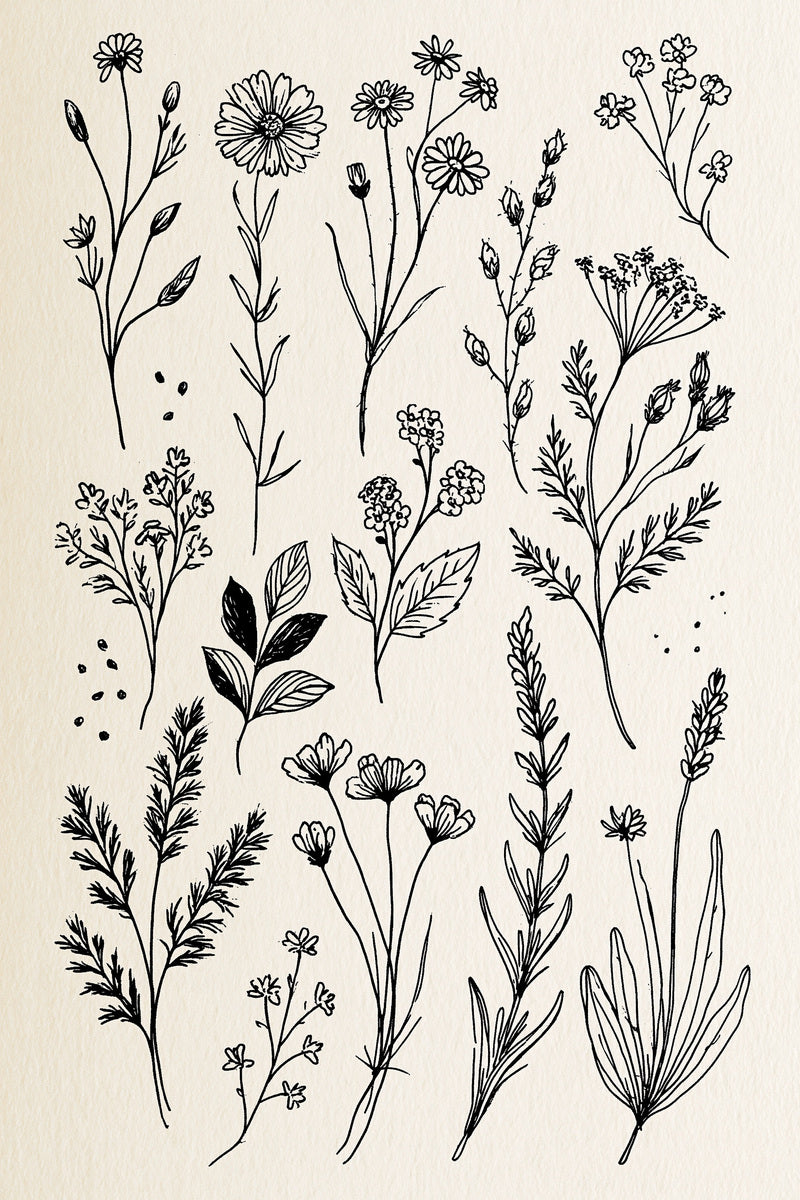 Floral Sprig Library Plate Botanical from Botanical Sprig Library Book 9, a digital embroidery design reference for machine embroidery designs, embroidery patterns and small motif and accent designs.
