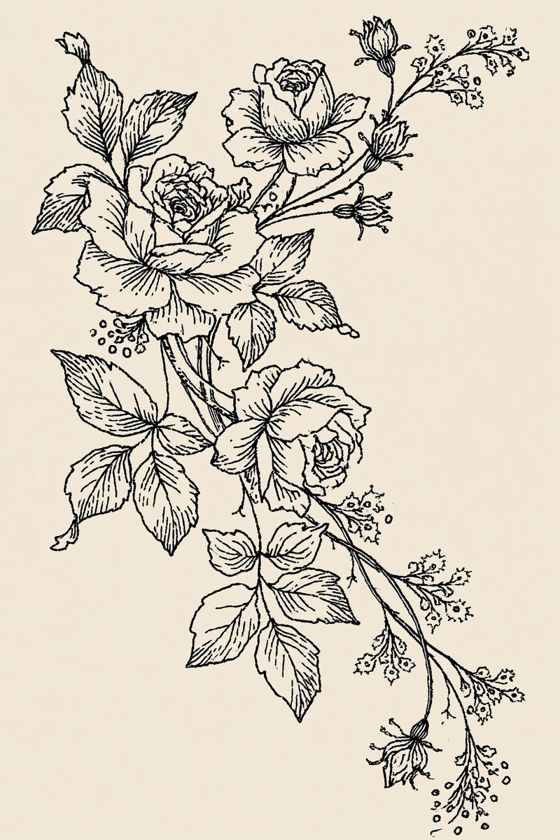 French Bed Linen Corner French from French Embroidery & La Broderie Blanche Book 2, a digital embroidery design reference for machine embroidery designs, embroidery patterns and corner embroidery.