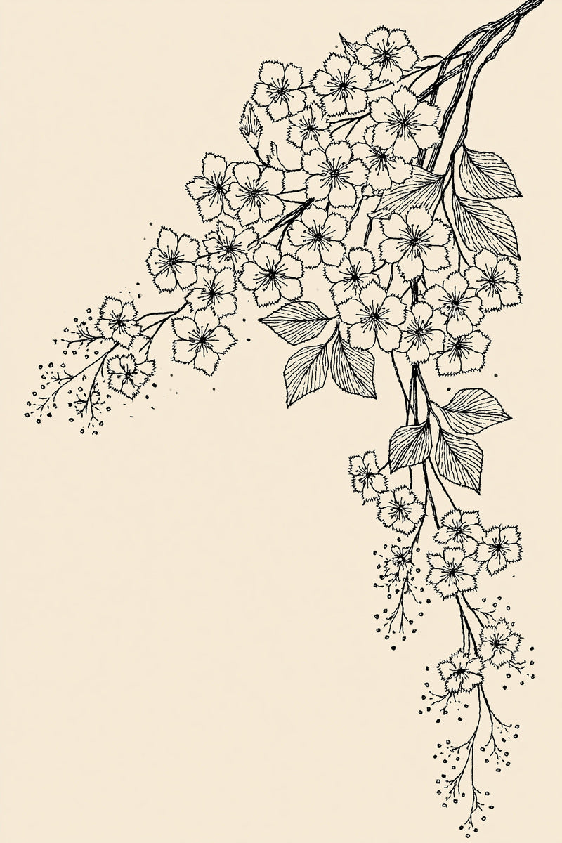 French Floral Corner Accent French from French Embroidery & La Broderie Blanche Book 4, a digital embroidery design reference for machine embroidery designs, embroidery patterns and corner embroidery.