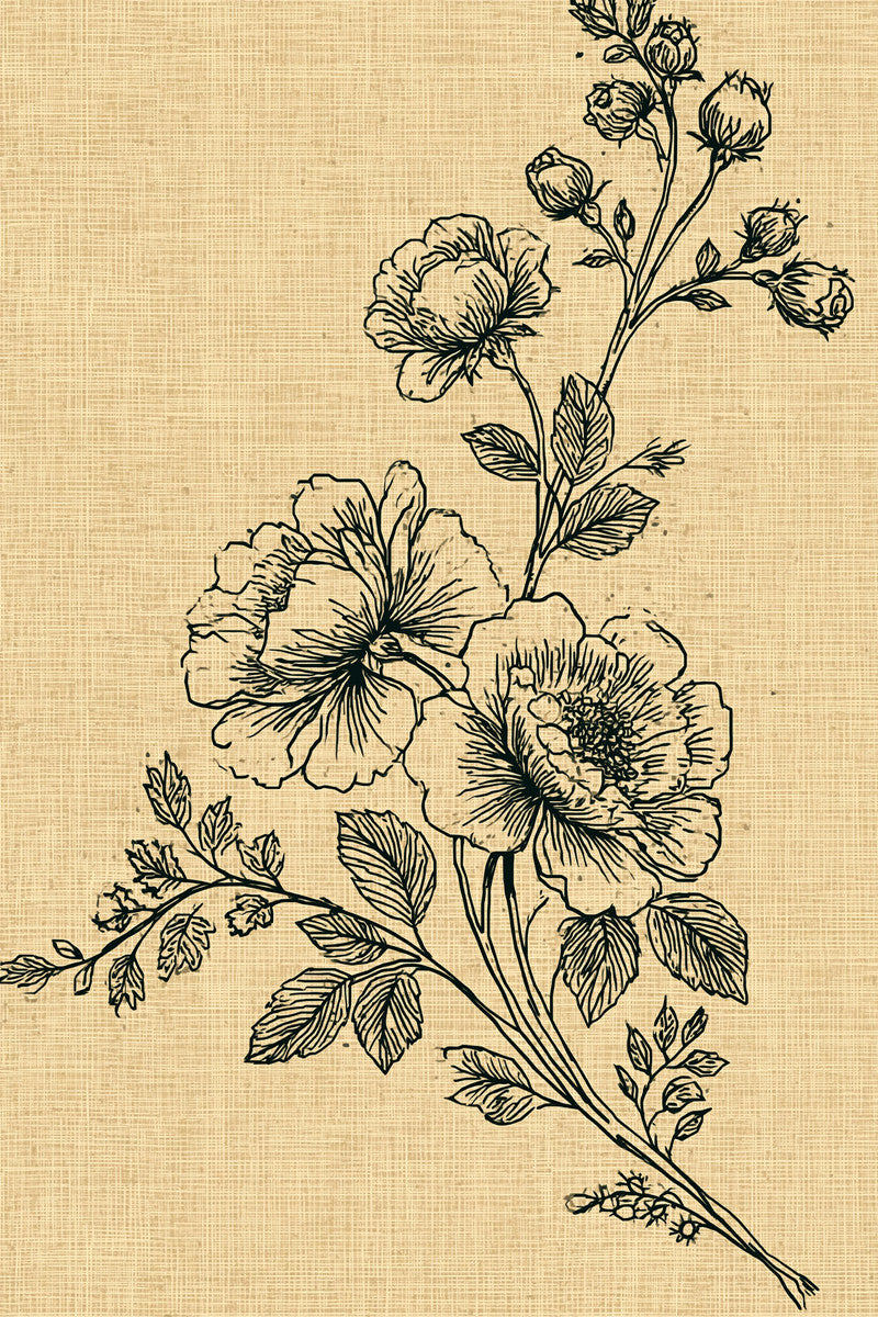 French Floral Table Linen Corner from French Embroidery & La Broderie Blanche Book 7, a digital embroidery design reference for machine embroidery designs, embroidery patterns and corner embroidery.