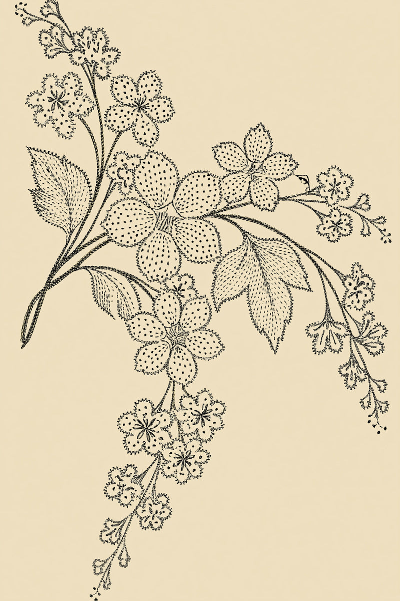 French Guest Towel Motif French from French Embroidery & La Broderie Blanche Book 1, a digital embroidery design reference for machine embroidery designs, embroidery patterns and lace and broderie details.