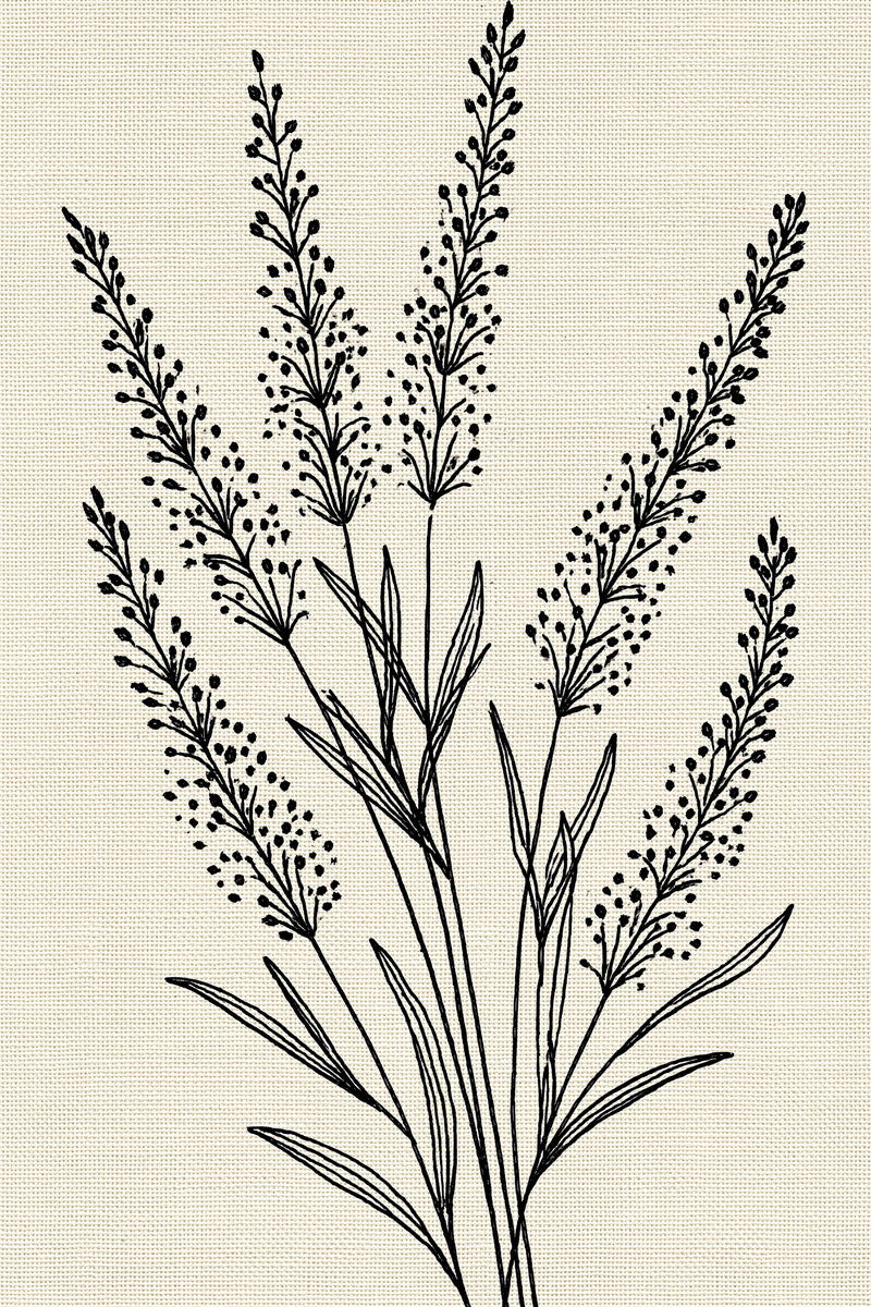 French Lavender Linen Placement French from French Embroidery & La Broderie Blanche Book 4, a digital embroidery design reference for machine embroidery designs, embroidery patterns and lace and broderie details.