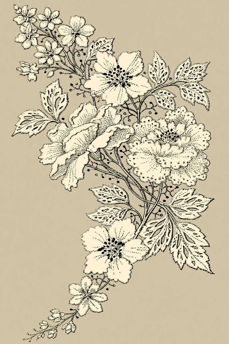 French Pillow Corner Motif French from French Embroidery & La Broderie Blanche Book 1, a digital embroidery design reference for machine embroidery designs, embroidery patterns and corner embroidery.