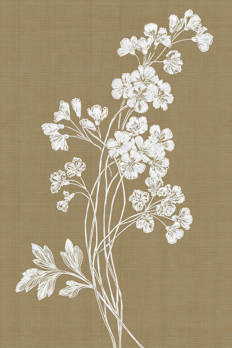 French Whitework Floral Sprig French from French Embroidery & La Broderie Blanche Book 1, a digital embroidery design reference for machine embroidery designs, embroidery patterns and lace and broderie details.
