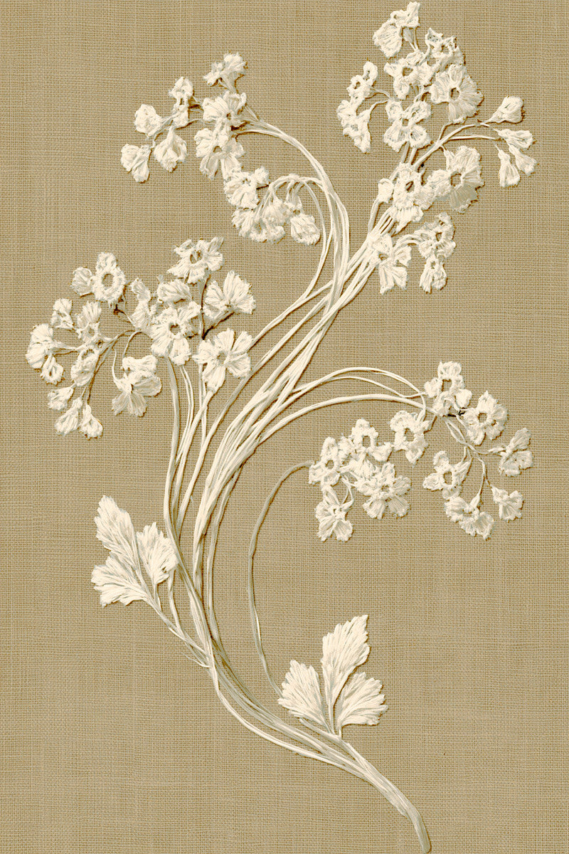 French Whitework Floral Sprig French from French Embroidery & La Broderie Blanche Book 6, a digital embroidery design reference for machine embroidery designs, embroidery patterns and lace and broderie details.