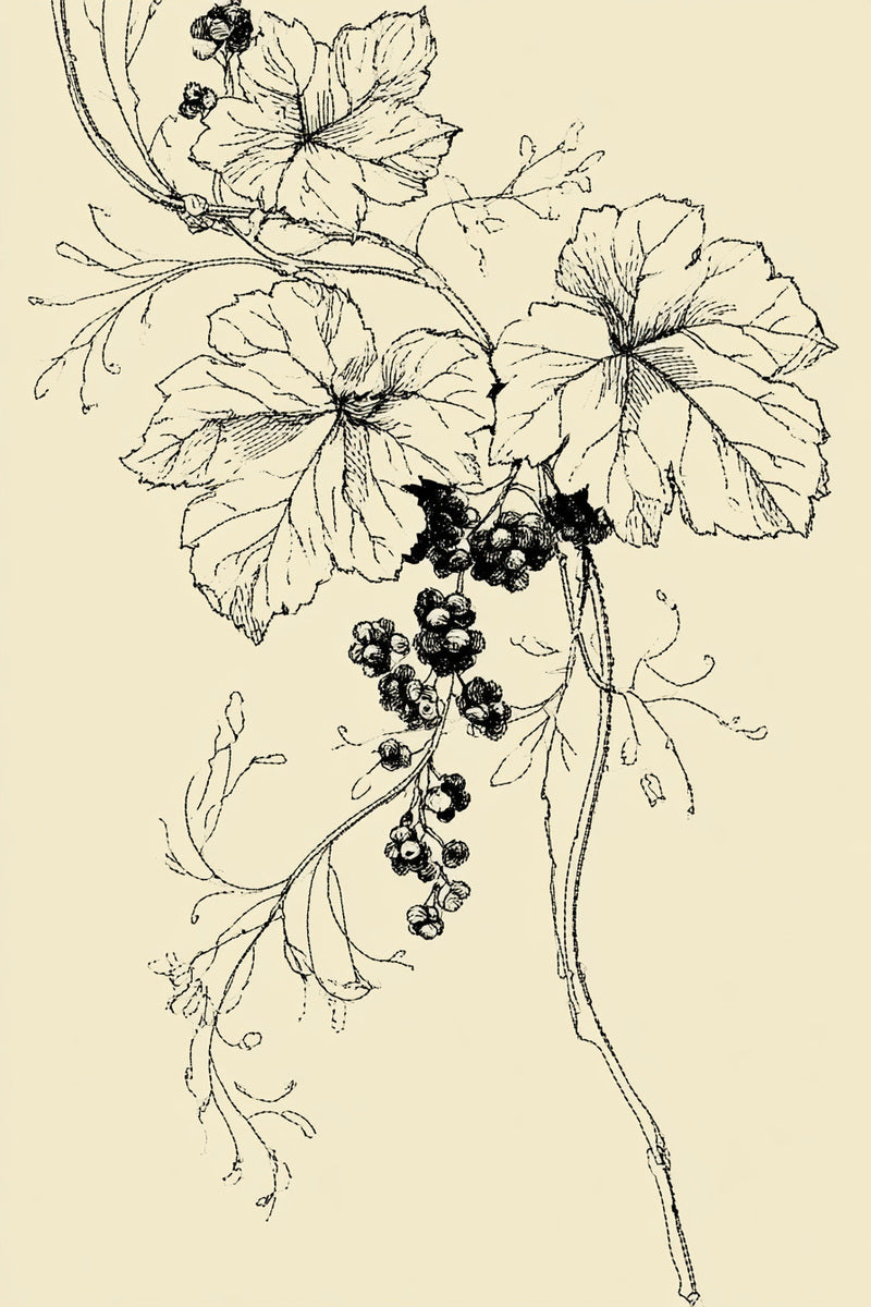 Grapevine Eucharistic Motif from Church Embroidery & Sacred Ornament Book 4, a digital embroidery design reference for machine embroidery designs, embroidery patterns and embroidery design reference.