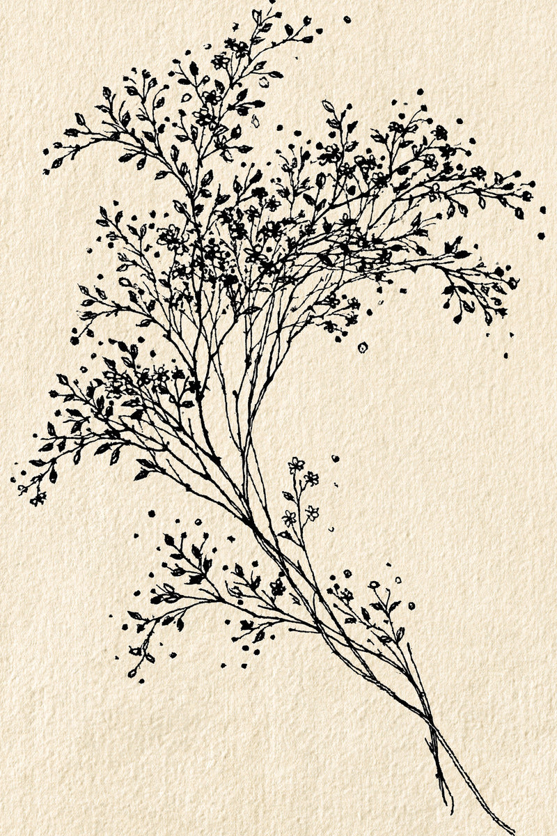 Guest Towel Botanical Sprig Botanical from Botanical Sprig Library Book 9, a digital embroidery design reference for machine embroidery designs, embroidery patterns and linen and home textile projects.