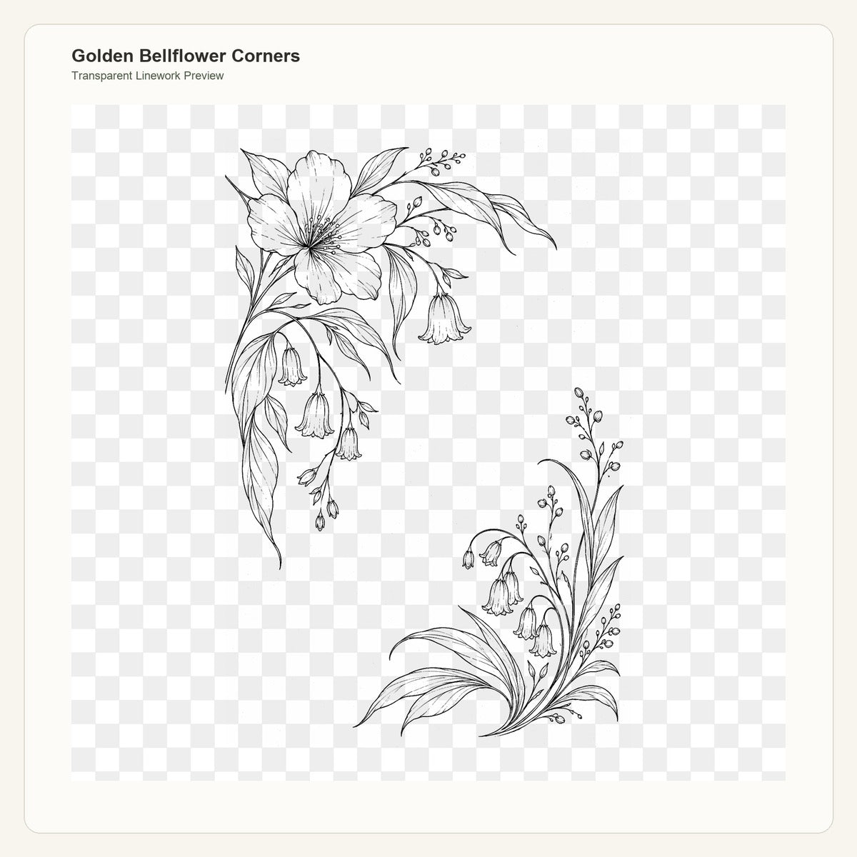 Golden Bellflower Corners transparent linework PNG preview for embroidery pattern transfer