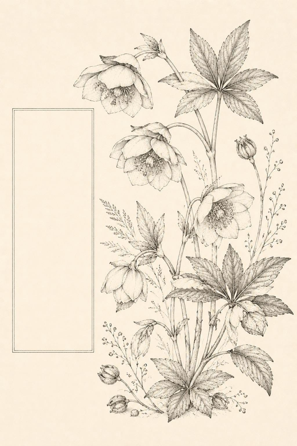 Hellebore Winter Jewel transfer linework preview for the digital hand embroidery pattern and stitch guide