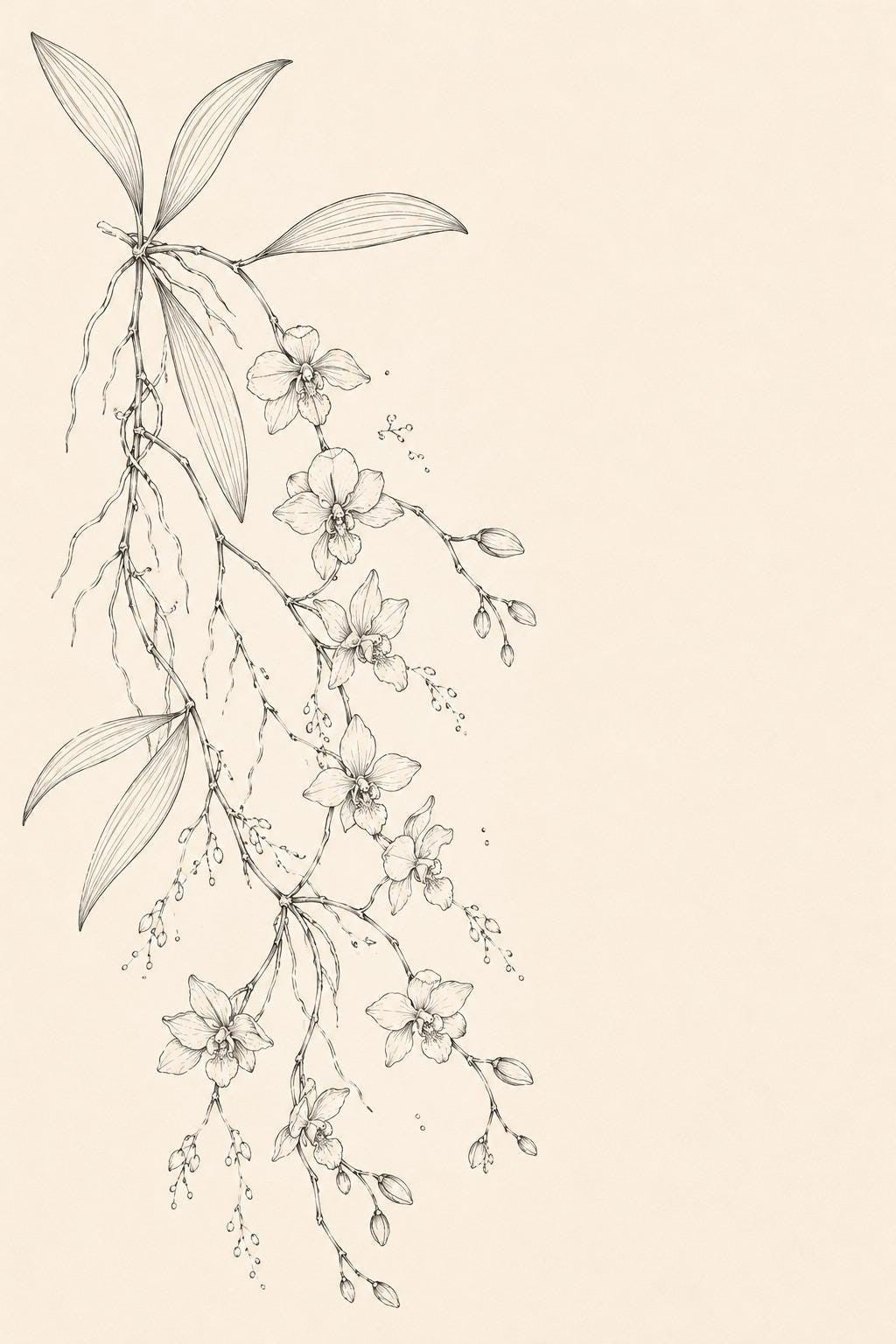 Wild Orchid Floating Stem transfer linework preview for the digital hand embroidery pattern and stitch guide